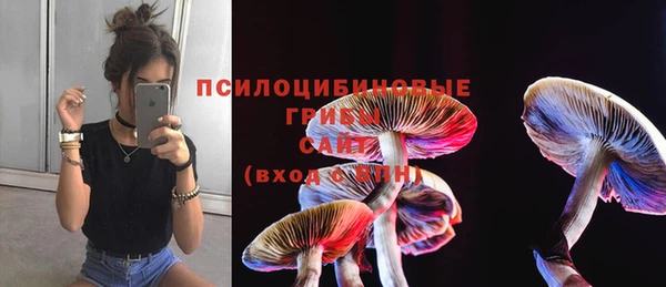 apvp Богородицк