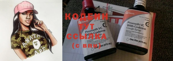 трава Белокуриха