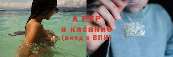 трава Белокуриха
