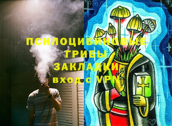 трава Белокуриха