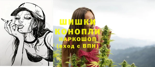 apvp Богородицк