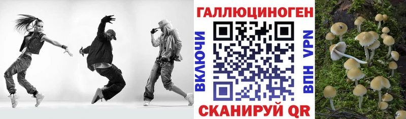 Псилоцибиновые грибы Psilocybe  наркошоп  Болотное 